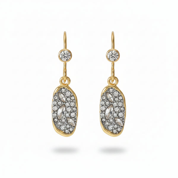 Sparkle Zirconia Hook Drop Earrings