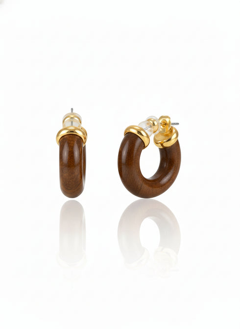 Polished Tiger's Eye Hoop Earrings