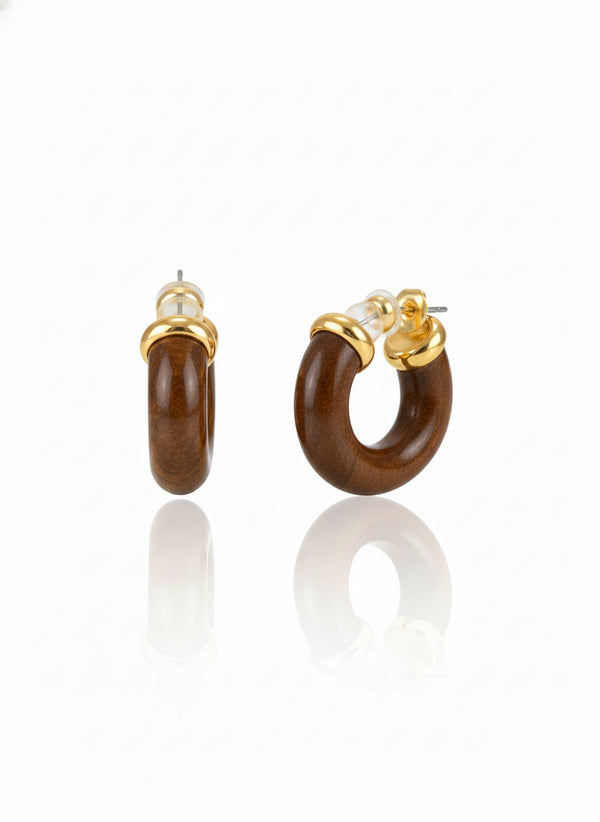 Polished Tiger's Eye Hoop Earrings